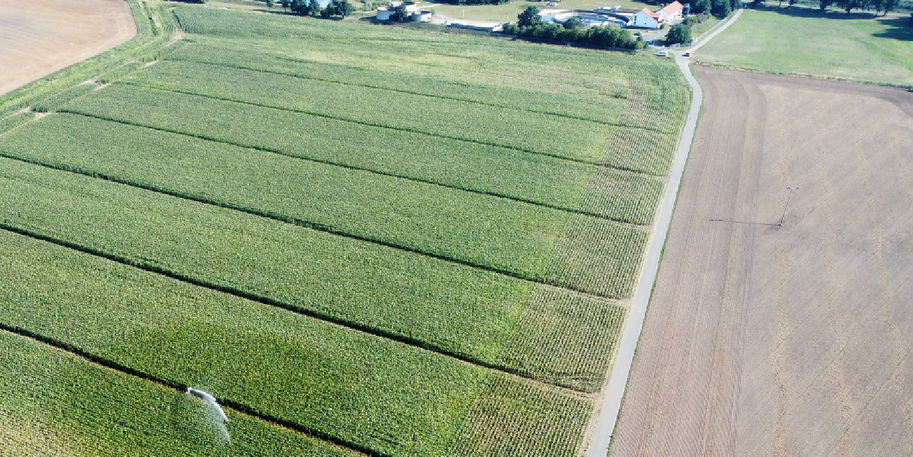 Bewässerung mit gereinigtem Abwasser in Uebigau