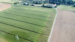 Bewässerung mit gereinigtem Abwasser in Uebigau