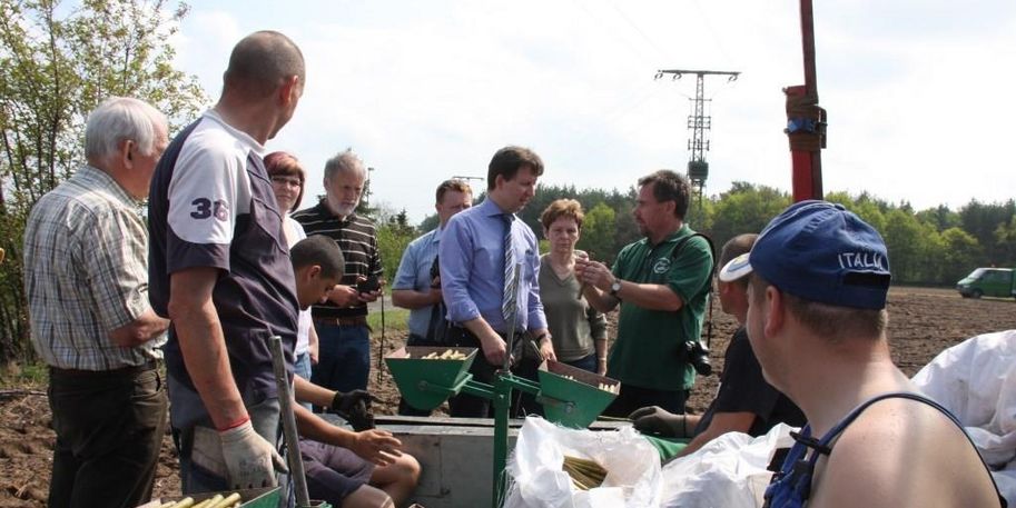 Besichtung eines Kurzumtriebsplantage