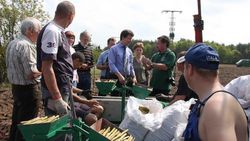 Besichtung eines Kurzumtriebsplantage