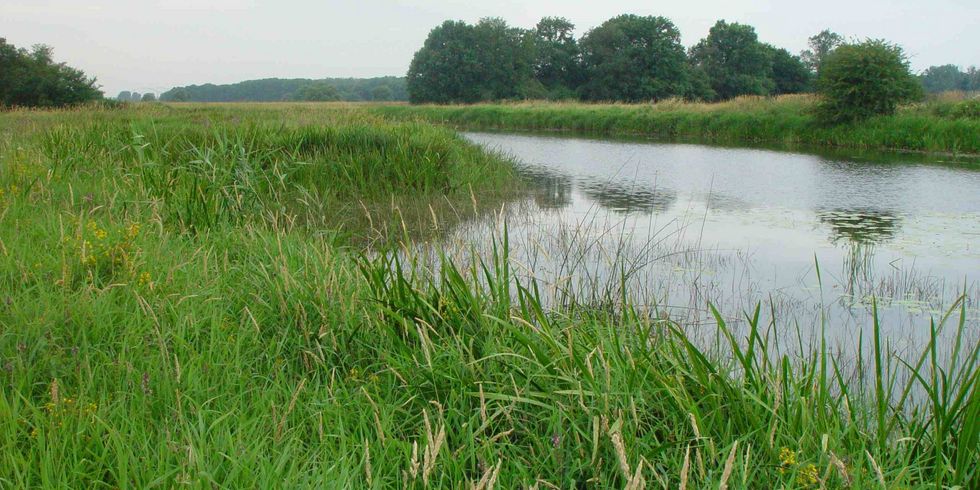 Schwarze Elster bei Jessen 