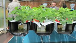 © inter 3 / ROOF WATER-FARM