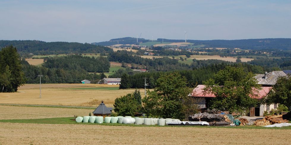 Windkraftanalgen in hügeliger Landschaft
