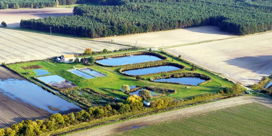 Ansicht Teichkläranlage Uebigau-Wahrenbrück