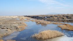 Ansicht eines Flusslaufs mit Niedrigwasser im Iran