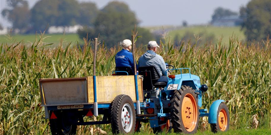 Traktor mit 2 Personen vor einem Maisfeld