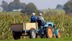 Traktor mit 2 Personen vor einem Maisfeld