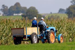 Traktor mit 2 Personen vor einem Maisfeld