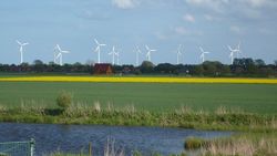 Landschaft mit Feldern, im Hintergrund sind Windräder zu sehen