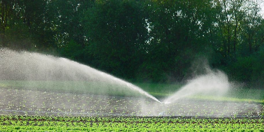 Feldbewässerung