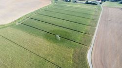 [Translate to English:] 