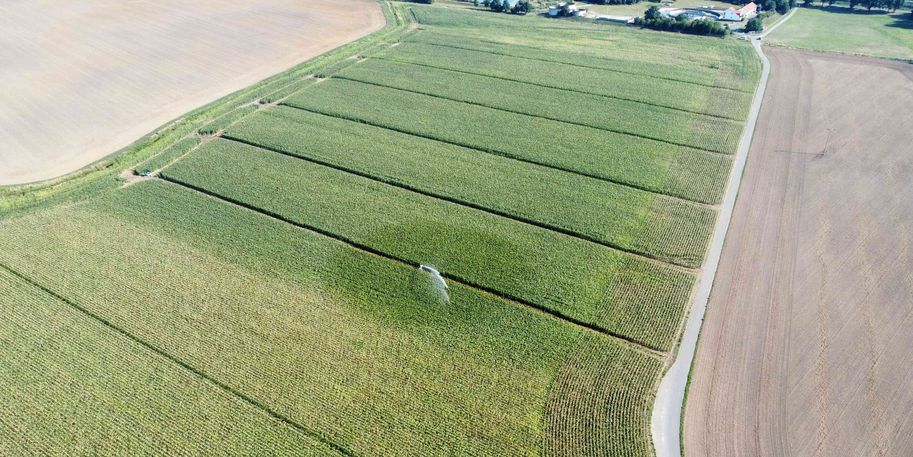 [Translate to English:] 