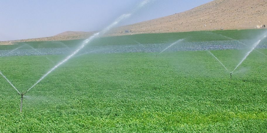 Landwirtschaftliche Bewässerung im Einzugsgebiet des Zayandeh Rud
