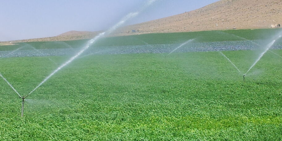 Landwirtschaftliche Bewässerung im Einzugsgebiet des Zayandeh Rud