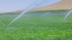 Landwirtschaftliche Bewässerung im Einzugsgebiet des Zayandeh Rud