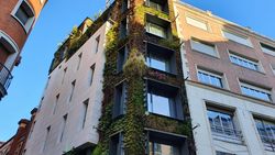 Haus mit einer Dach- und Fassadenbegrünung