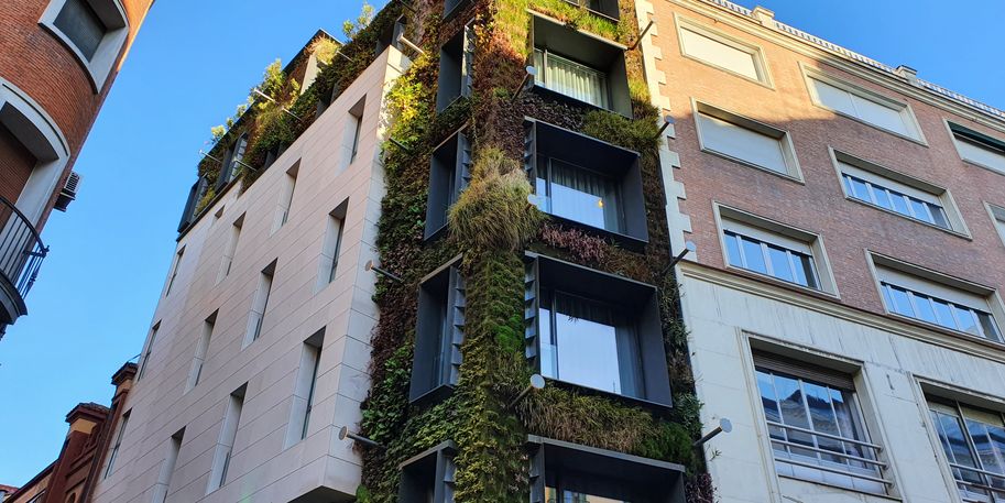 Haus mit einer Dach- und Fassadenbegrünung