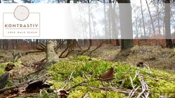 Waldboden mit Projektlogo