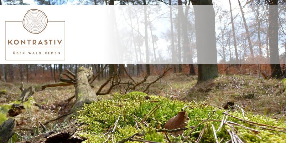 Waldboden mit Projektlogo