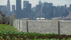 Dachgarten in New York